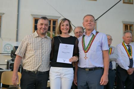 vipavska ned-334